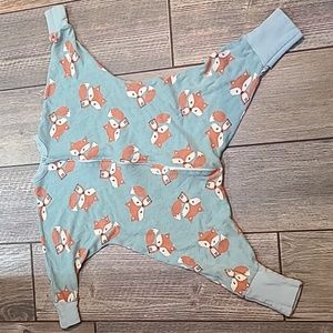 Friendly Fox Flying Squirrel Pajama